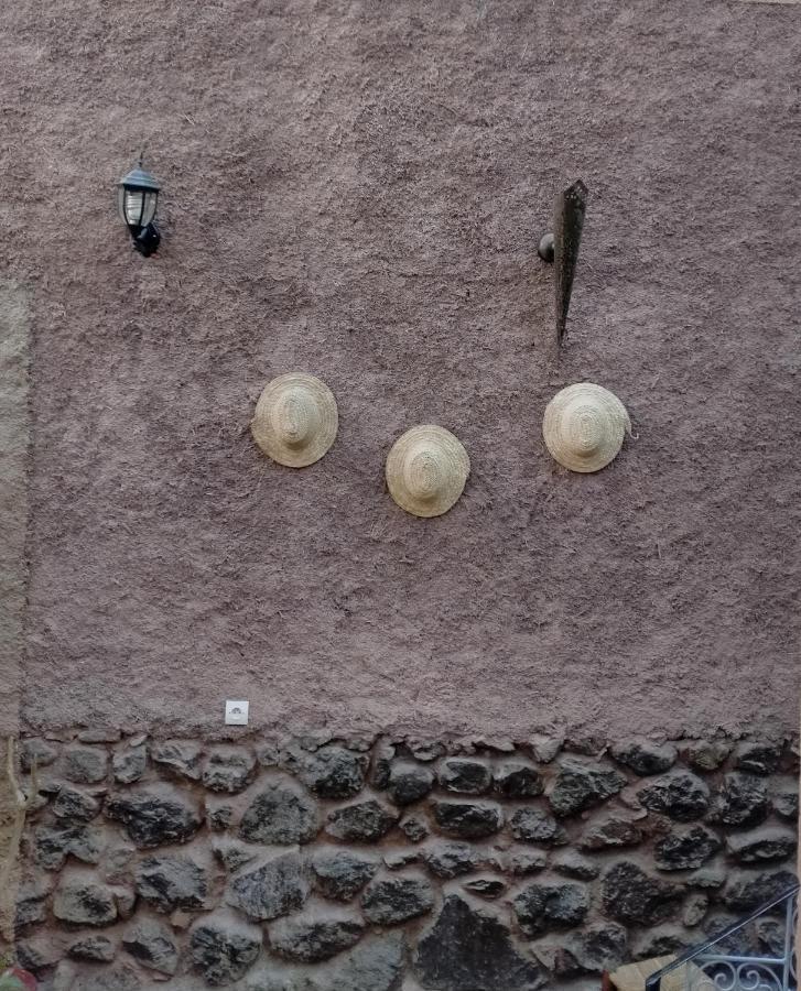 Maison Ait Mizane Imlil (Atlas Mountains) Exterior foto